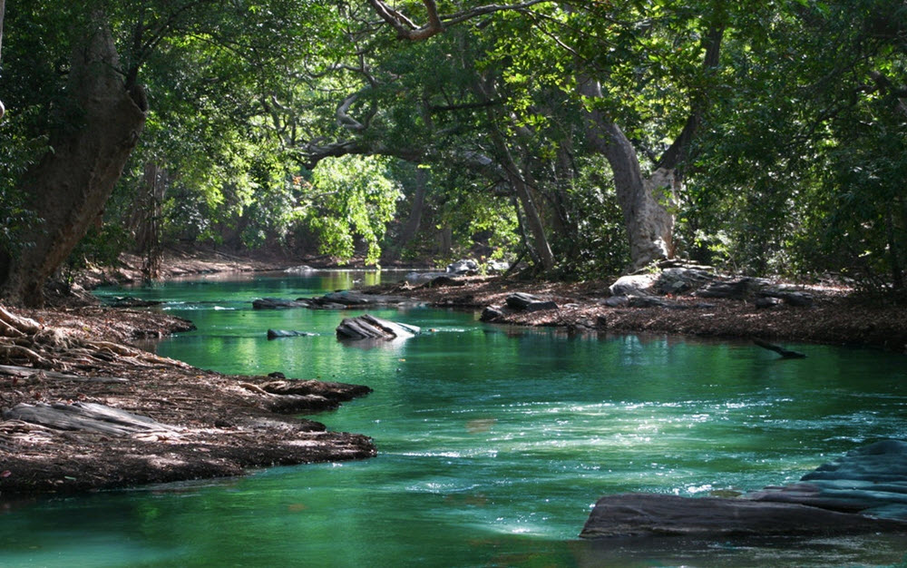 The peace river